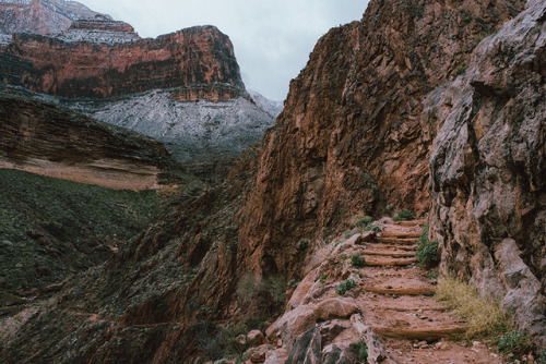 jeffambrose: Bright Angel Trail, GCNP