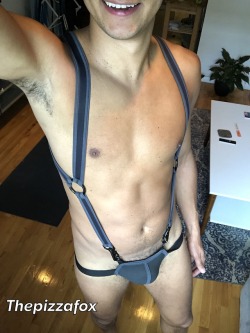 holy-trainer-locked:  thepizzafox:  New harness!