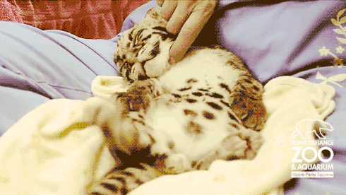 matthewofficiall:Hopefully this made you smile :)  awwwww