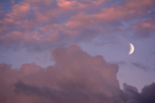 love-abia:  Frisson by Abi Ashra (Tumblr)