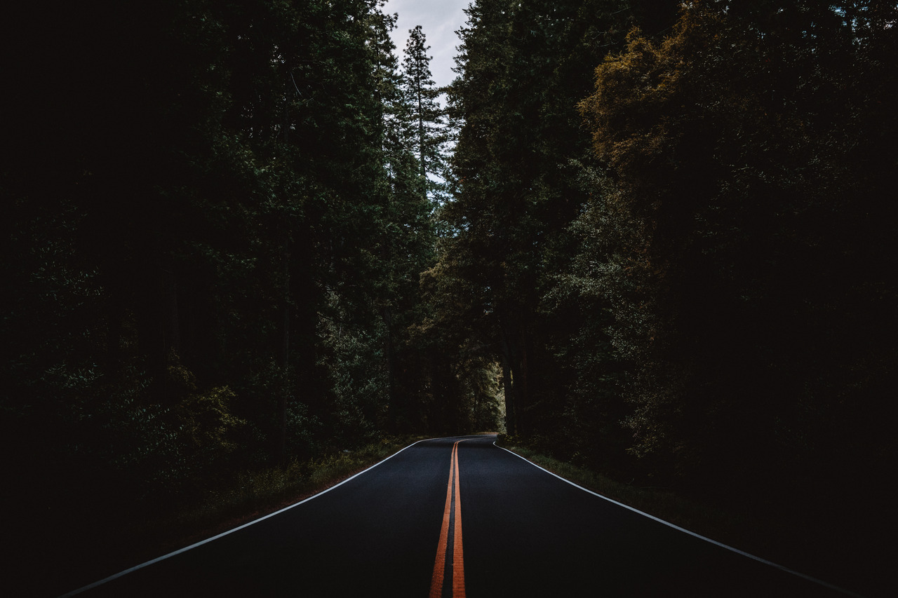 jasonincalifornia:Love driving these Yosemite Valley roads.