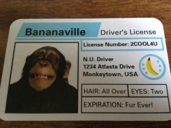 baara:  hey guys look I got my driver’s license