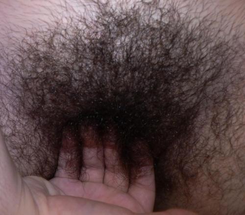 http://velter1.tumblr.com/post/101293745007