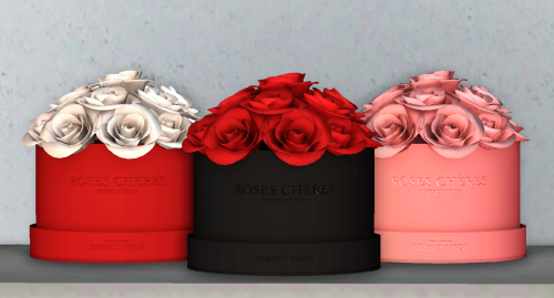 Gurlsims [Roses Cheres]these aren’t quite roses&hellip;.now that I look at them&hellip