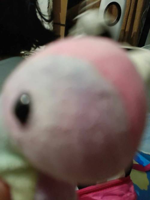 I Was In My Cousins House And I Saw This Silly Willy Dinosaur