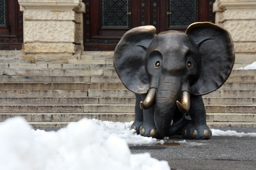 African Elephant - Gottfried Kumpf. The sweet bronze guardian of the Museum of Natural History | Vie