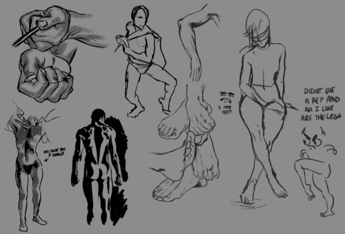 studies
