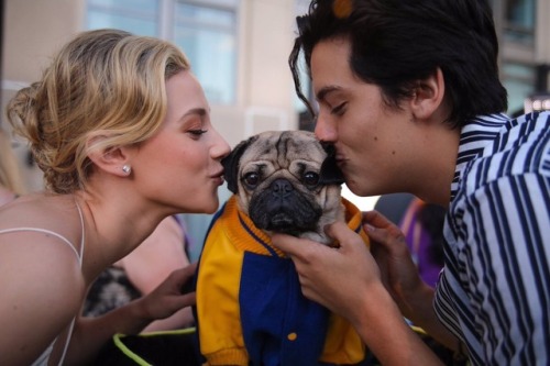 betty-and-jughead: Yes, they should certainly have Pugs on Riverdale. But Jughead already has Hotdog