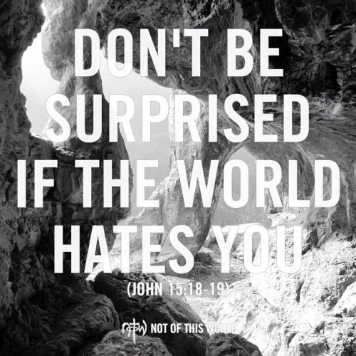 officialnotw:
““If the world hates you, keep in mind that it hated me first. If you belonged to the world, it would love you as its own. As it is, you do not belong to the world, but I have chosen you out of the world. That is why the world hates...