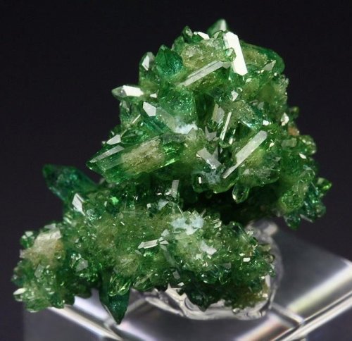 bijoux-et-mineraux:  Chromian Vesuvianite - Jeffrey Mine, Quebec, Canada