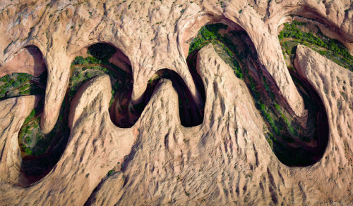 From Winners Of The 2017 National Geographic Nature Photographer Of The Year Contest, One Of 20 Photos.