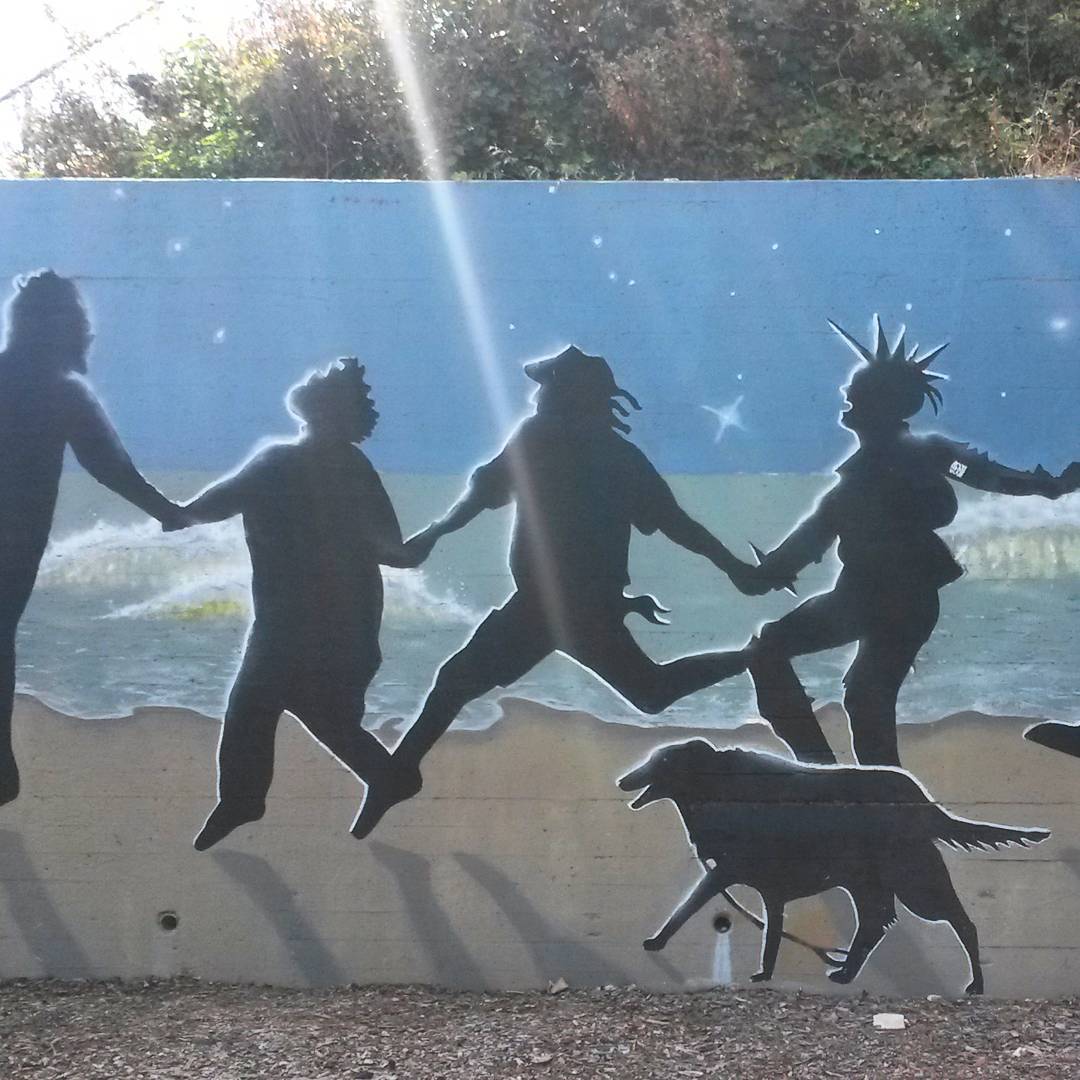 My favorite #SantaCruz mural downtown. The locals are constantly retouching it. #streetart