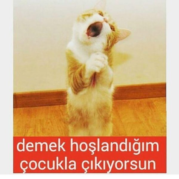 demek hoşlandığım
cocukla...