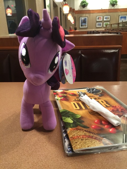WENT TO DENNY&rsquo;S SAW A TWILIGHT IN THE CRANE MACHINE AND WON ON THE FIRST TRY.