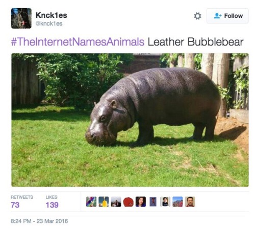 Porn Pics tastefullyoffensive:   #TheInternetNamesAnimals