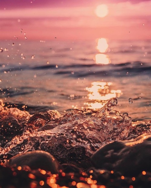 https://o0pepper0o.tumblr.com/post/165484604679