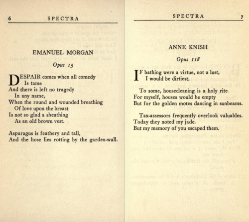 Spectra - A Book of Poetic Experiments by Anne Knish and Emanuel Morgan.