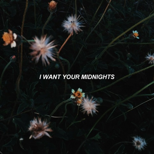 new year’s day // taylor swift