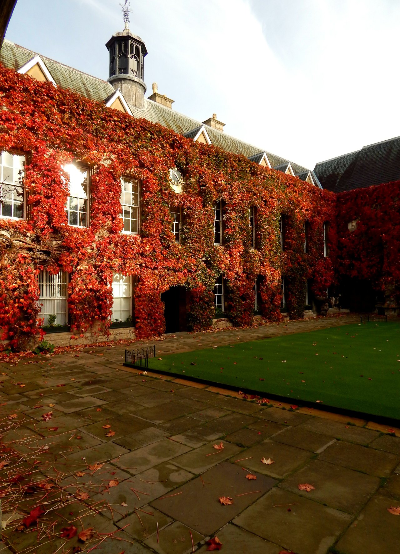 fuckitandmovetobritain:  Great Britain  [6] - Autumn - Hampstead Heath, Llanrwst,