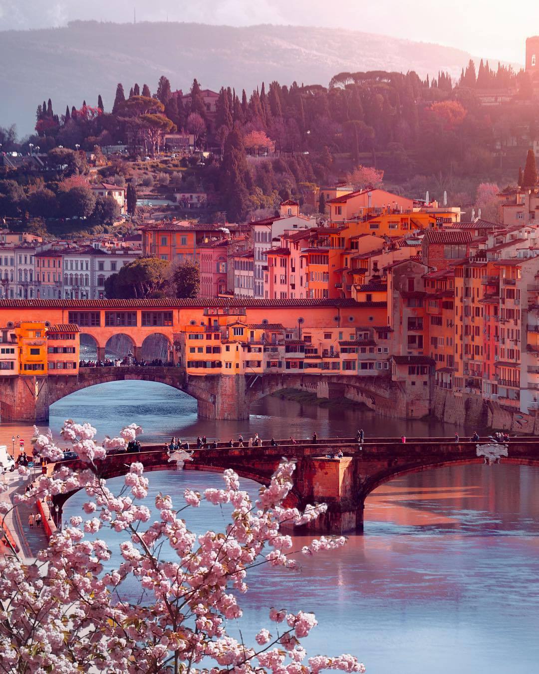 andantegrazioso:Florence |  dorpell  