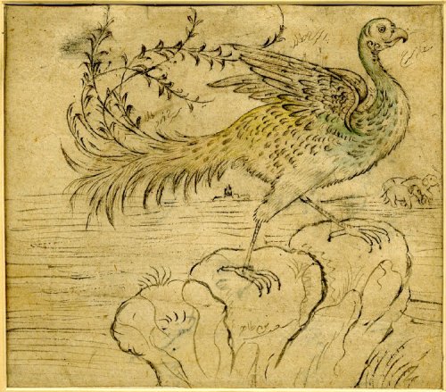 A drawing of a simurgh or phoenixMughal, 18th centuryBritish Museum