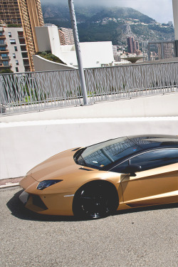 wearevanity:  Lamborghini Aventador 