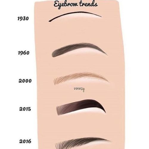 Eyebrow Beauty Infographics from Nova &amp; Knox