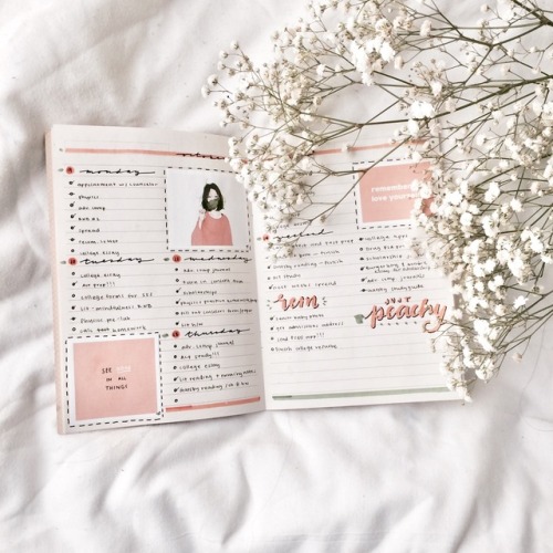 hungryscribbles:peach/pink + baby’s breath  //  old spread (again), it’s been cloudy lat