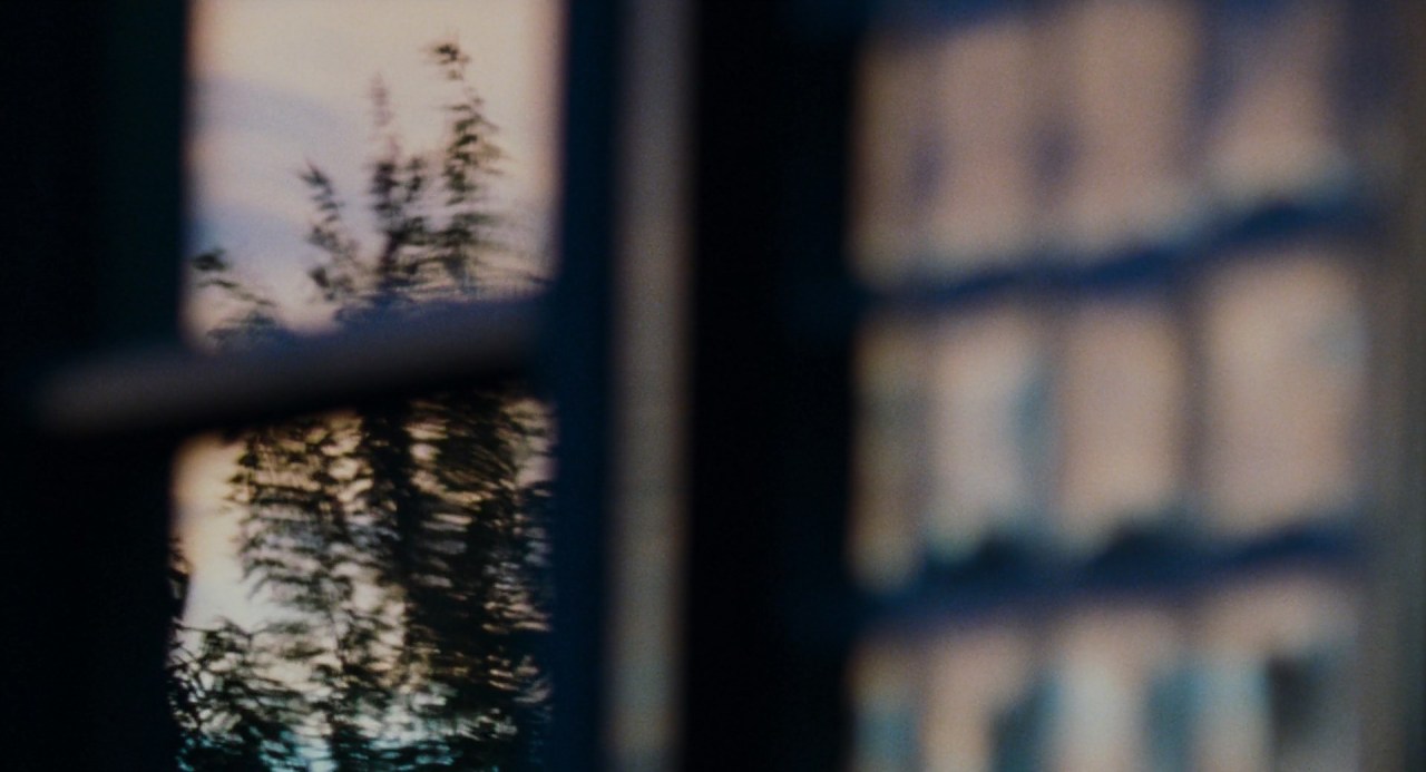 cleofisrandolph:Martyrs (2008) dir. Pascal Laugier, cinematography by Stéphane