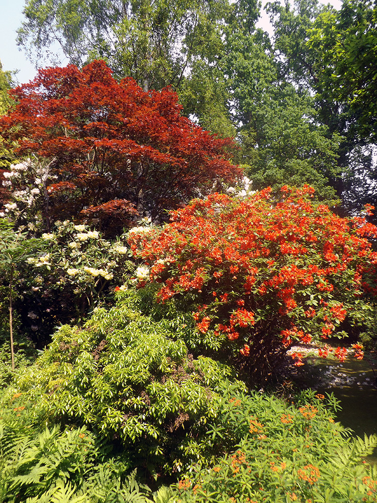 Doddington Place Gardens