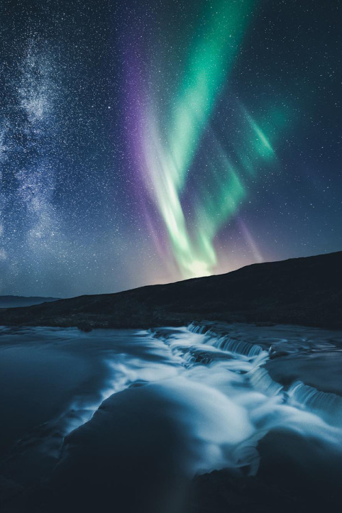 outdoorspastelnature:Understand to Love