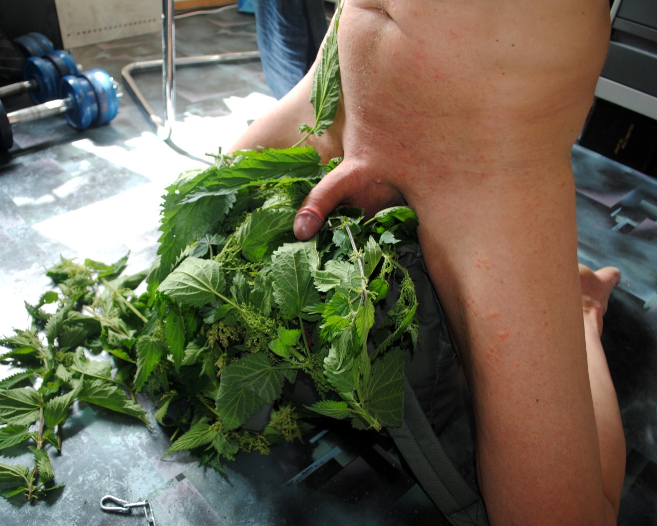 fresh nettles, what could be better than that?