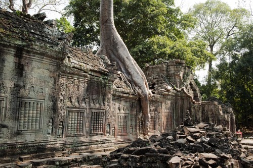 Preah Khan, Siem Reap, CambodiaFor more of my work, check out kaltosaar.blogspot.com . You can also 