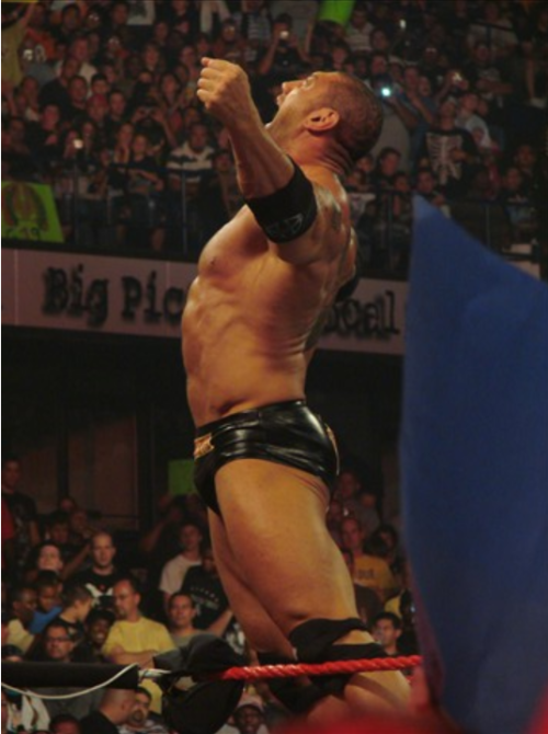 rwfan11:  Batista 