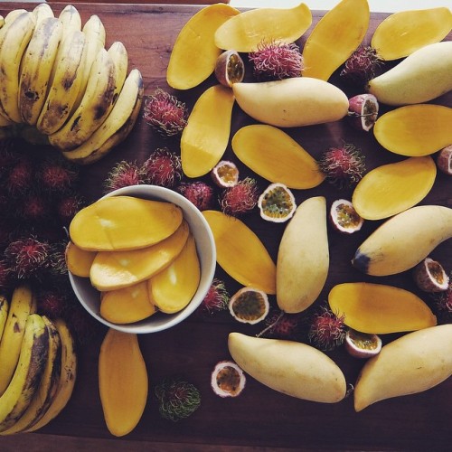 essenaoneill: MANGO MONO MEALS ARE THE BOMB