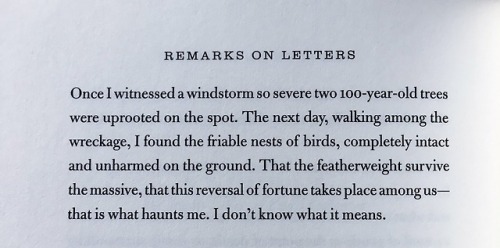 fuckyeahannecarson: – Mary Ruefle, “Remarks on Letters”