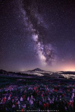 mrcloudphotography:photo by Scott Smorra | MY TUMBLR BLOG | Back to the Picture. I think it would be cool if one day someone good in photography lands on the moon or Mars and they take a long exposure photo like this. I bet it would have the clearest