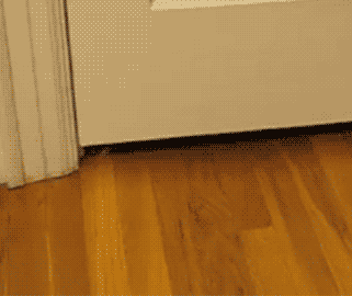 gasogaosa:  only——gifs:   Visit me blog! 
