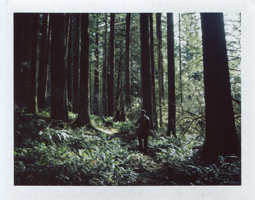 mikescofield:  I took my polaroid hiking today!