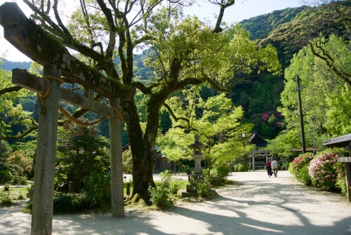 Iwakuni (岩国市)