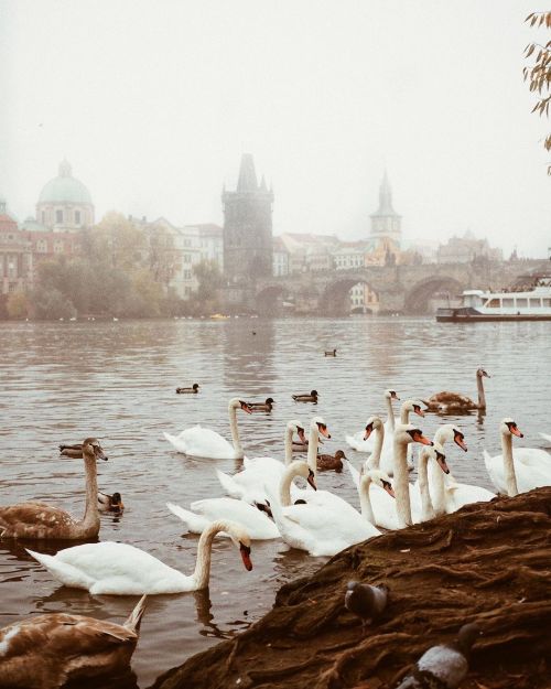 vivalcli:Ig: some fairytale snapshots from Prague by McKenna Kaelin