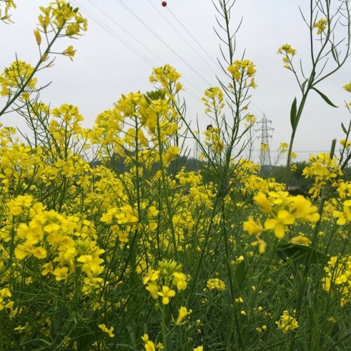 사개월의 공백기를 끝으로 새로운 시작 디데이- 원, 두려움 반 설렘 반. 너무 일을 쉬었던 걸까 .., 세상 간사하게도 일 하기 싫어 몸부림 치는 내 모습이 참으로 웃펐던 오늘. 