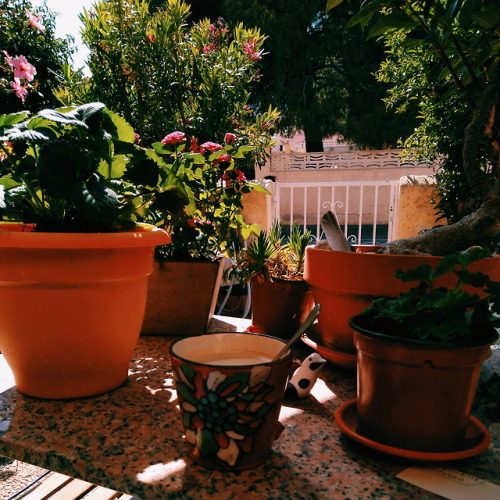 apuntes para mí examen de historia, los totalitarismo. Y además el hermoso jardín de mi abuela.-pau.