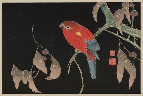 sumi-no-neko:by 伊藤若冲 Jakuchu Ito (1716 - 1800)