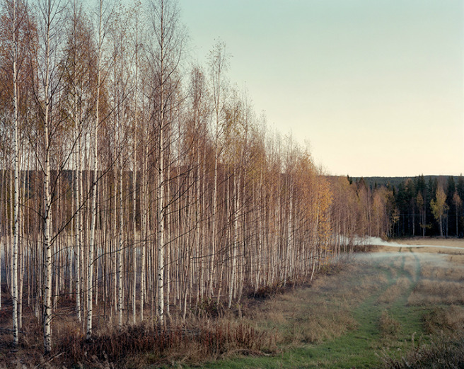 razorshapes:  Felix Odell - Landscapes