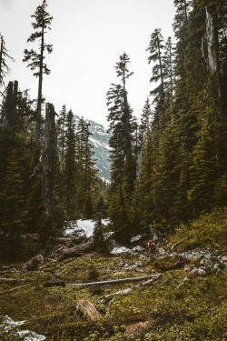 adventureovereverything:  One of my favorite