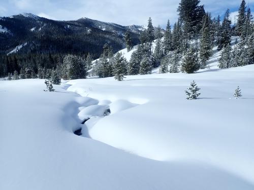 Snowy Stream in the Idaho Mountains [OC][4000x3000]