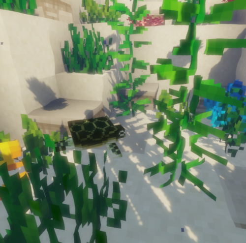 me and @uzumakijou have been watching over these turtle eggs for so long… and they finally ha