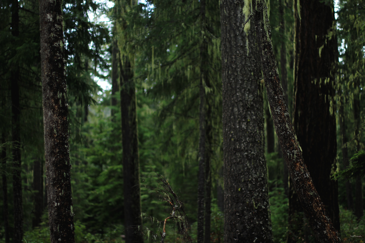 garettphotography: October 29th, 2016 | GarettPhotography