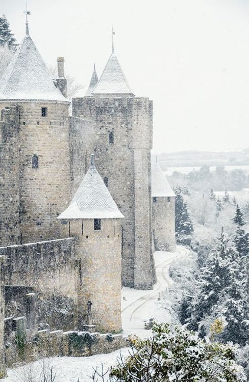 silvaris:  One day of snowy winter in Carcassonne by Eve Coquelet